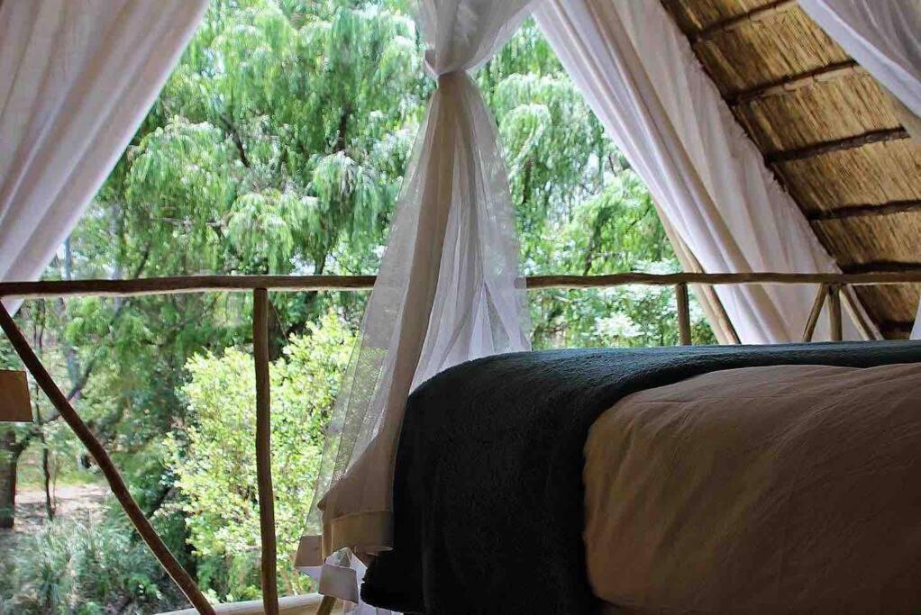 Hot Spring Bungalow In Limpopo Gemsbokfontein Exterior photo